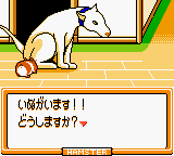 Hamster Paradise 3 screenshot 5 for GameBoy Color